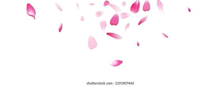 Pastel Peach Petal Vector White Background. Pink Modern Apple Petal Texture. Sakura Petal Fresh Illustration. Delicate Rose Petal Cover.