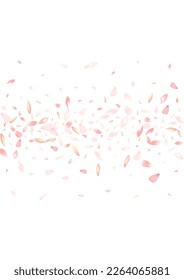 Pastel Peach Petal Vector White Background. Purple Invitation Flower Petal Banner. Lotus Petal Japanese Template. Beauty Cherry Petal Cover.