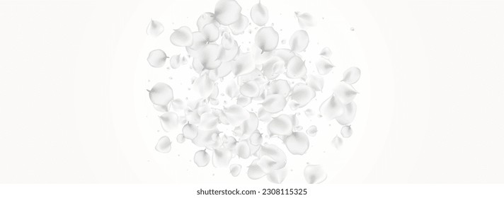 Pastel Peach Vector Light Panoramic Background. Gray Tender Cherry Texture. Japanese Sakura Poster. Snowy Rose Blur Banner.