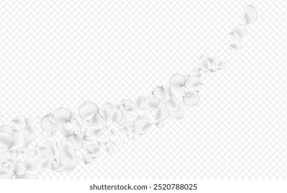 Pastel Peach Vector Transparent Background. Snowy Falling Blossom Wallpaper. Blur Flower Illustration. Delicate Rose Beauty Design.