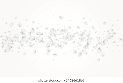 Pastel Petal Vector Light Background. Delicate Summer Sakura Frame. Fly Blossom Banner. Snowy Floral Fall Template.