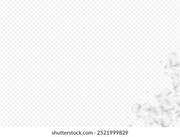 Pastel Petal Vector Transparent Background. White Summer Flower Poster. Blur Floral Illustration. Delicate Blossom Flying Pattern.