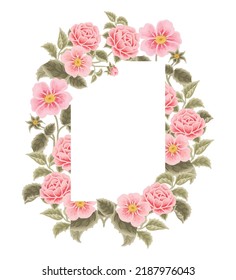 Pastel pink flower frame vector illustration with roses, green leaf branches for wedding stationary, greeting card decoration, feminine and beauty elements isolated on white background