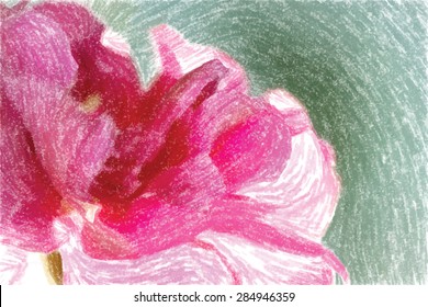 pastel pink rose background vector