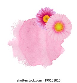 Pastel Pink Stain With Gerber, Vector Illustration