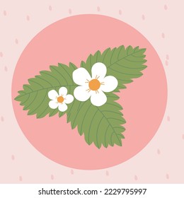 Pastellblume, rosafarbene Erdbeerblume
