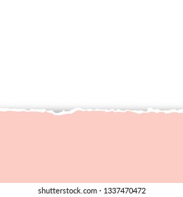 Pastel pink  texture of torn paper. Preparation for an inscription, a cover, registration, design, banners.Torn paper with copy space for your text.