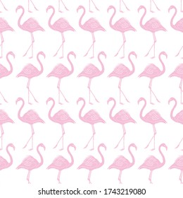 Fondo del patrón blanco rosado pastel con flamencos