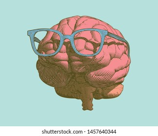 Pastel retro engraving human brain with eye glasses illustration in front view isolated on pastel green background