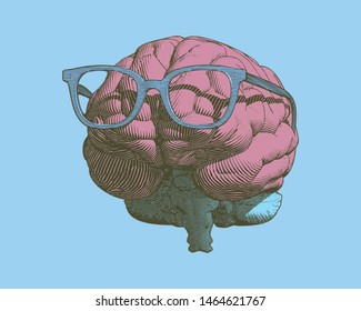 Pastel retro engraving human brain with eye glasses illustration in front view isolated on pastel blue background