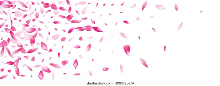 Pastel Rose Petal Vector Panoramic Background. White Wallpaper Lotus Petal Frame. Sakura Petal Flying Banner. 3d Peach Petal Cover.