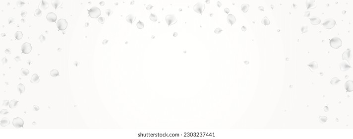 Pastellrose, Vektor, heller panoramischer Hintergrund. Weiße Fliegenweinwand. Schöner Blumenrahmen. Delikates Sakura japanisches Banner.