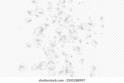 Fondo transparente de Vector rosa pastel. Anuncio de melocotón tierno nevado. Textura de Loto de Japón. Ilustración de belleza de flores grises.