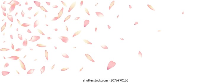 Pastel Sakura Petal Vector Panoramic Background. Pink Falling Apple Petal Texture. Lotus Petal Delicate Frame. Romance Cherry Petal Product.