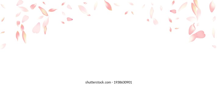 Pastel Sakura Petal Vector White Background. Purple Fall Cherry Petal Backdrop. Peach Petal Springtime Card. Modern Flower Petal Design.