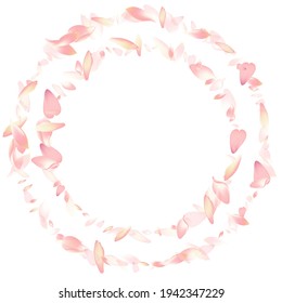 Pastel Sakura Petal Vector White Background. White Floral Apple Petal Frame. Lotus Petal Beauty Congratulation. Valentine Flower Petal Illustration.