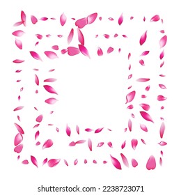 Pastel Sakura Petal Vector White Background. Color Modern Lotus Petal Template. Cherry Petal March Congratulation. Wedding Apple Petal Frame.