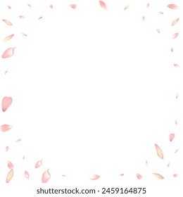 Pastel Sakura Petal Vector White Background. Color Free Lotus Petal Illustration. Peach Petal Summer Texture. Realistic Flower Petal Template.