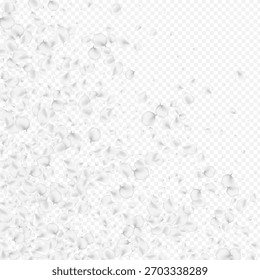 Fondo transparente del Vector del pastel Sakura. Textura de melocotón de belleza gris. Desenfoque de la ilustración de Rose. Diseño de caída de pétalo blanco.