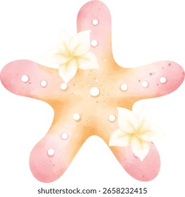 Pastel Seashell e estrela-do-mar Clipart Gráfico
