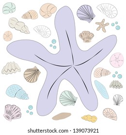 Pastel Seashells Set, Vector Illustration
