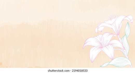 Pastel watercolor background with line art of lily flower. pink lily flower line art.