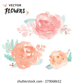 Pastel Watercolor Peony Vector Flowers Painted By Hand