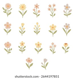 Pastel Wildflower with Soft Petals Set