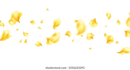 Pastel yellow flower petals falling on abstract floral background with beautiful petal greeting card design. Vector illustration