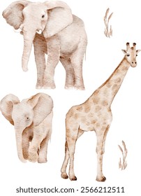 pastelle color palette, clipart on white isolated, handdrawn lione and zebra