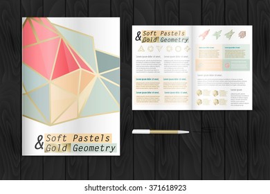 Pastels with gold geometric shapes brochure. Color application booklet template design for corporate identity with statistics and infographics. Cover layout and infographics. Business stationery.
