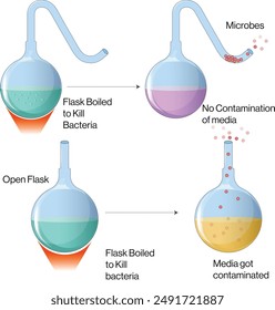 Diagrama del experimento de Pasteur, fondo blanco, Ilustración vectorial de la Ciencia