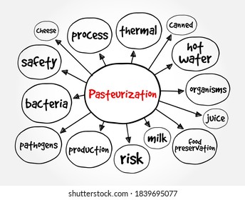 Pasteurization mind map, concept for presentations and reports