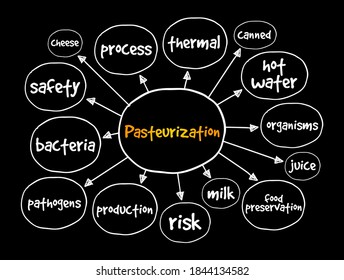 Pasteurization mind map, concept for presentations and reports