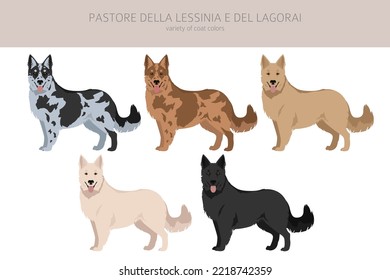 Pastore della Lessinia e del Lagorai clipart. All coat colors set.  All dog breeds characteristics infographic. Vector illustration