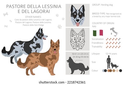 Pastore della Lessinia e del Lagorai clipart. All coat colors set.  All dog breeds characteristics infographic. Vector illustration