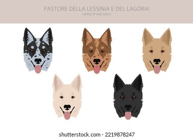 Pastore della Lessinia e del Lagorai clipart. All coat colors set.  All dog breeds characteristics infographic. Vector illustration