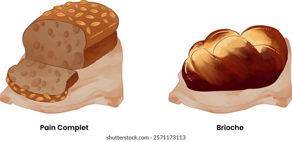 Pastries and Bread Illustration Pain Complet Brioche