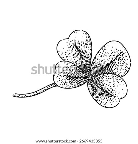 pasture clover hand drawn. herb plant, leaf meadow, field grassland pasture clover vector sketch. isolated black illustration