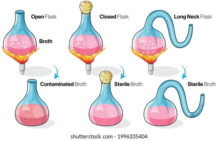 Pasture experiment of spontaneous generation illustration. 