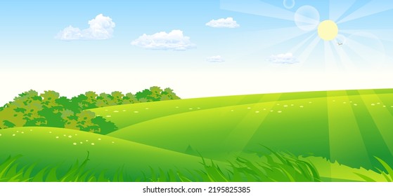 pasture meadow plain forests on the horizon shrubs field in the sun clear day forest-steppe