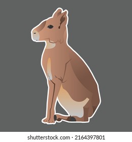 Patagonian mara (Dolichotis patagonum).Patagonian cavy, Patagonian hare, or dillaby . Found in Argentina Illustration