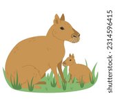 Patagonian mara illustration. Vector hand drawn Patagonian cavy or dillaby animal.
