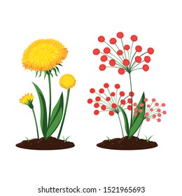 patch of houseplant in pot vector illustration design