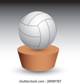patch with volleyball