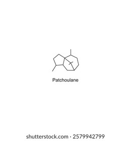 Patchoulane skeletal structure.Sesquiterpene compound schematic illustration. Simple diagram, chemical structure.