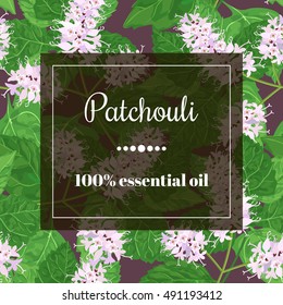 Patchouli 100 % essential oil. Square semitransparent banner with herbal elements at background.