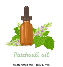 Patchouli essential oil in amber glass dropper bottle isolated on white background. Green leaves and fragrant flowers. Vector illustration in cartoon flat style.