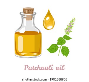 Patchouli Essential Oil In Glass Bottle, Drop And Flowering Plant Isolated On White. Vector Illustration In Cartoon Flat Style.