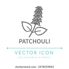 Icono de línea de aroma de flor de pachulí, símbolo de sabor de comida, símbolo de Vector de fragancia de vela y jabón, etiqueta de logotipo de ingrediente de perfume de cosméticos 